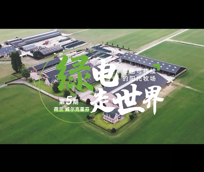 【古瑞瓦特儲(chǔ)能逆變器】綠電走世界 | 荷蘭綠色可持續(xù)的陽光牧場(chǎng)